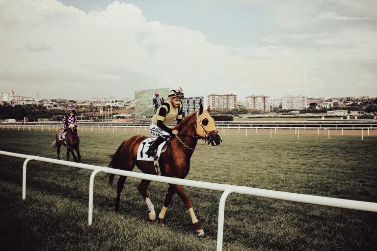 The Importance of Content Moderation