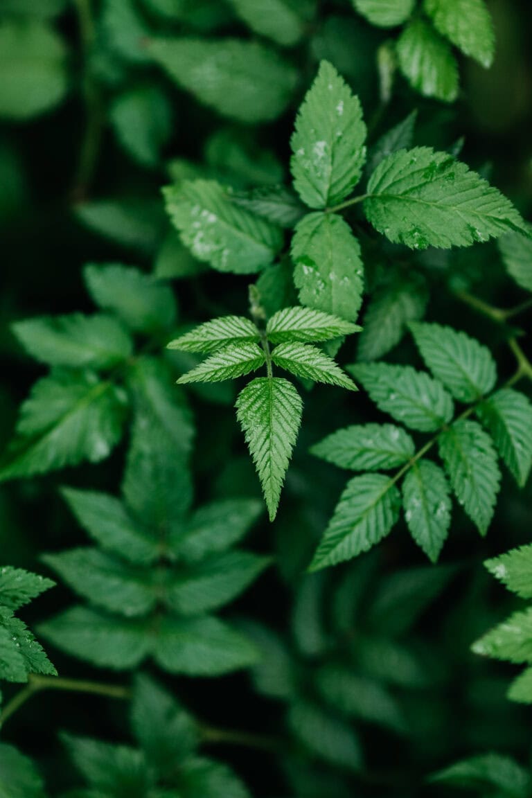 Top Content Marketing Platform Options for Businesses